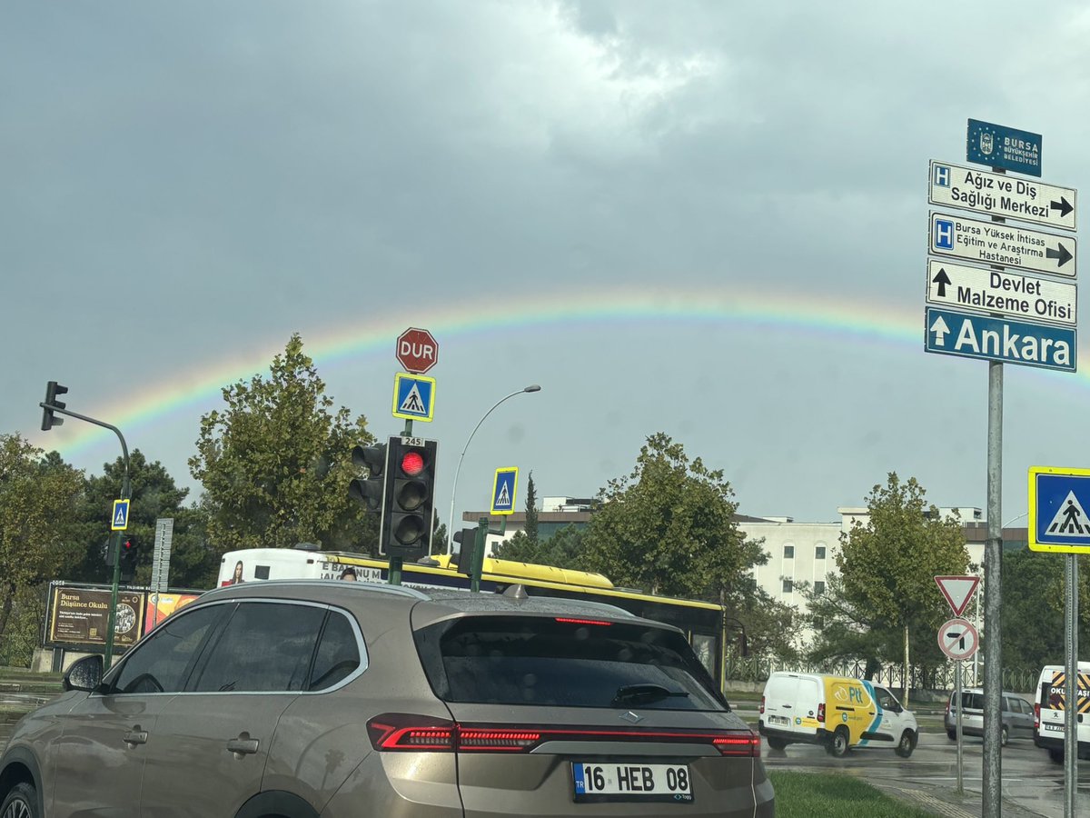 ykn0016's tweet photo. İlk defa Bursa’da karşılaştım https://t.co/KbKF9pC7DQ