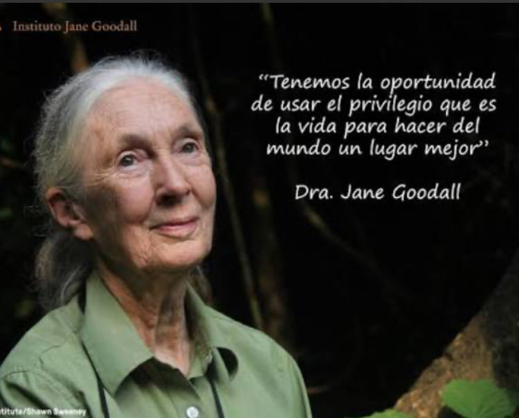 Mercedes Rodríguez tweet media