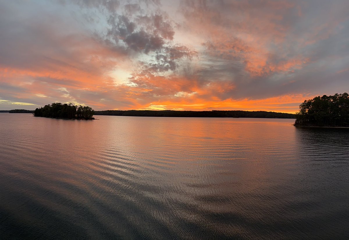 Steve Fleming tweet media