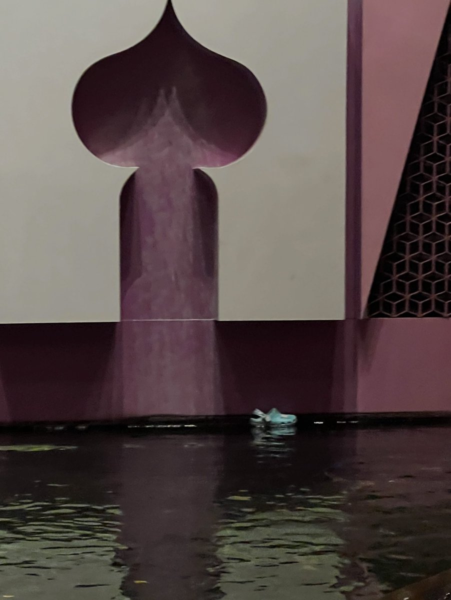 DCL_CRUISE_NERD's tweet image. Cruise Nerds don’t be alarmed but there is a wild “croc” in the wild! Ifykyk #crocs #smallworld #inthewild