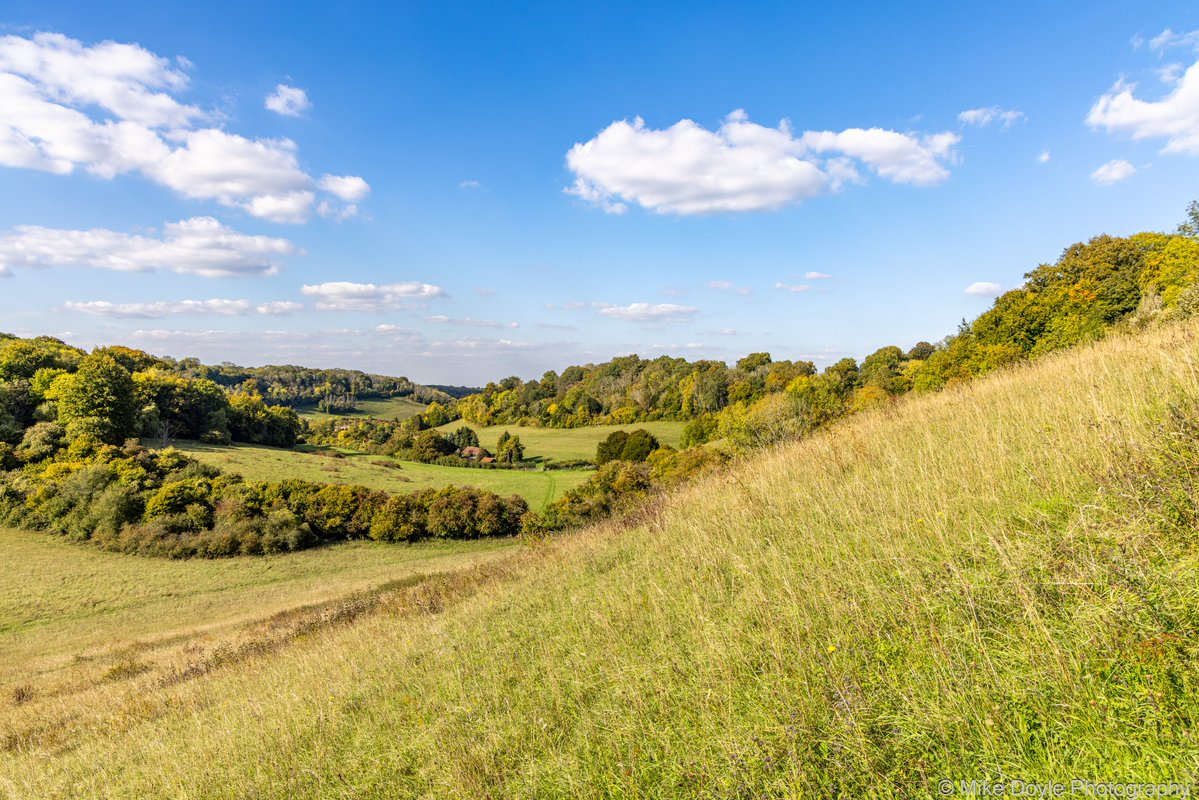 MikeDoylePhotos's tweet image. Landscape near Otford, Kent.

#Kent #England #landscape #landscapephotography #photography #travel #travelphotography #photo #photography #photooftheday