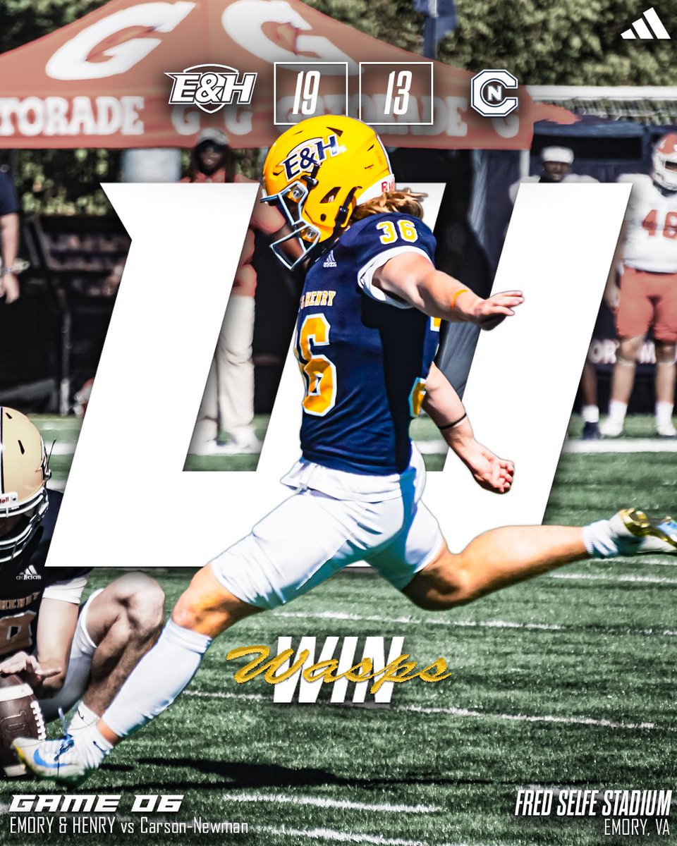 𝘽𝙮 𝙖𝙣𝙮 𝙢𝙚𝙖𝙣𝙨 𝙣𝙚𝙘𝙚𝙨𝙨𝙖𝙧𝙮.

#GoWasps 
#BlueCollarGoldStandard