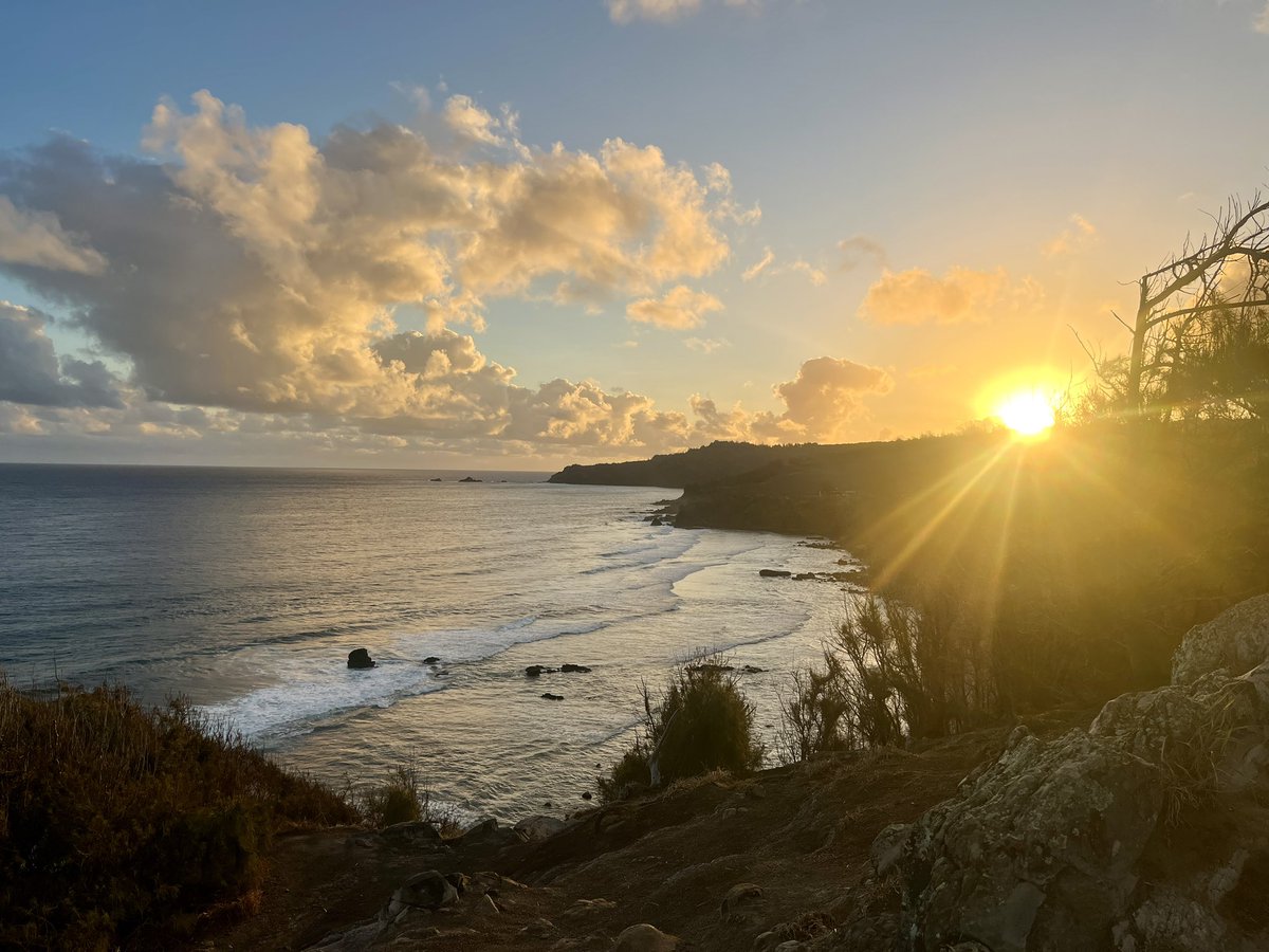 Josh Darwin tweet media