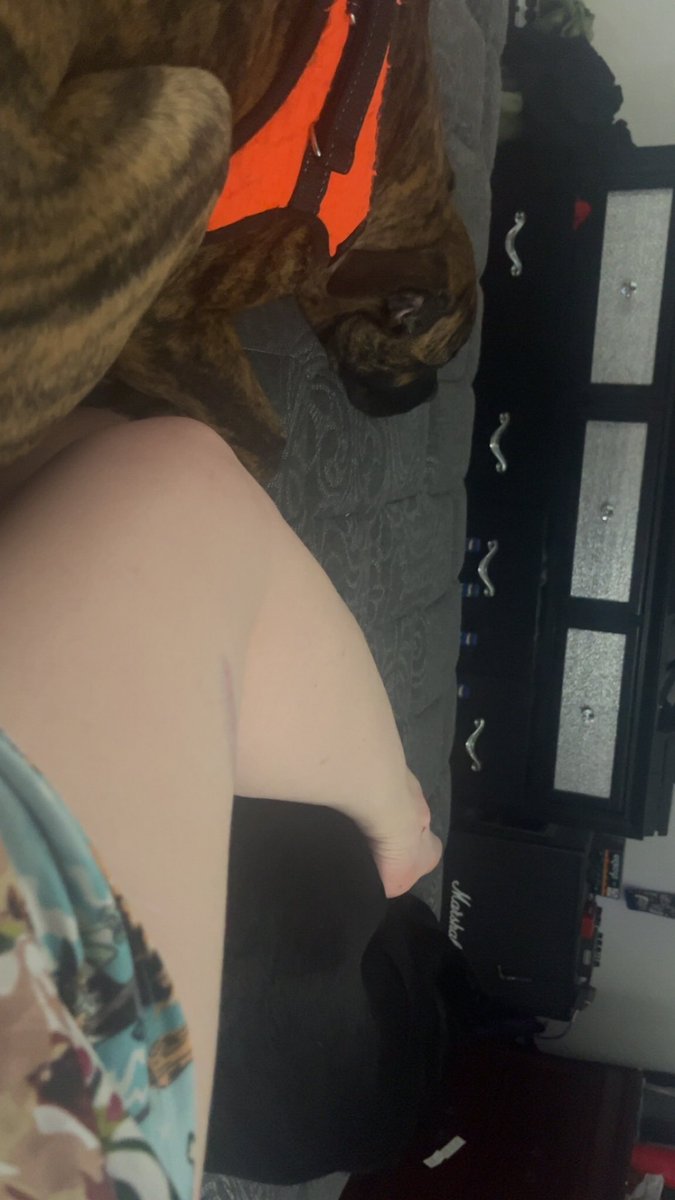 Khy A.K.A Haze💨🍃 tweet media