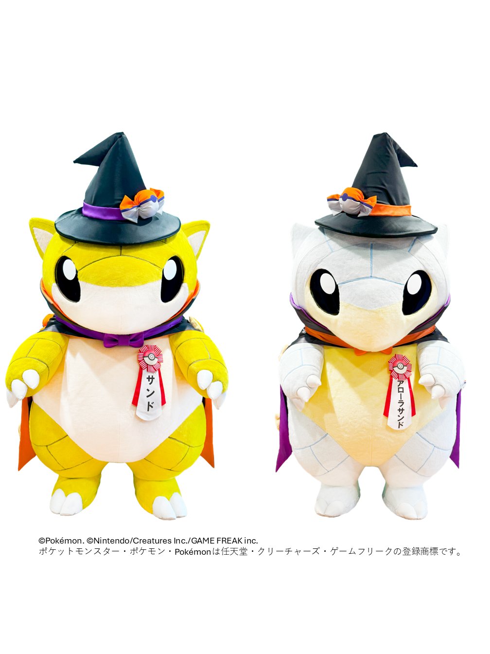 ポケモン大好き様 ポケモンだいすきクラブ編集部【公式】 (@pokemon_pdc