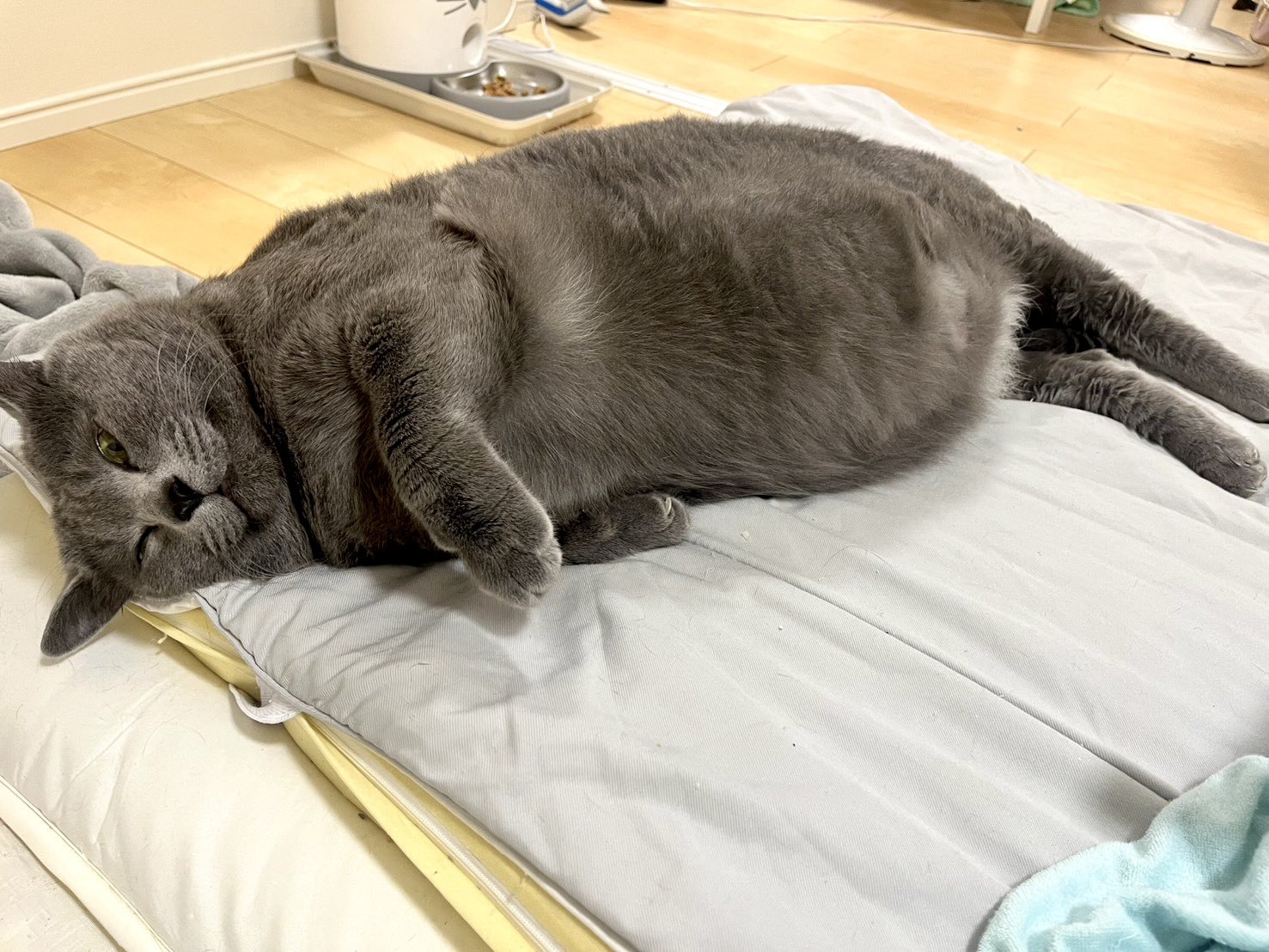 誠 (@4JEJrUoqpq44420) / X