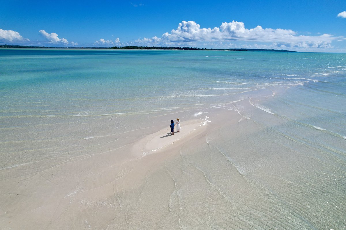 すずはち (@suzuhacci) / Posts / X