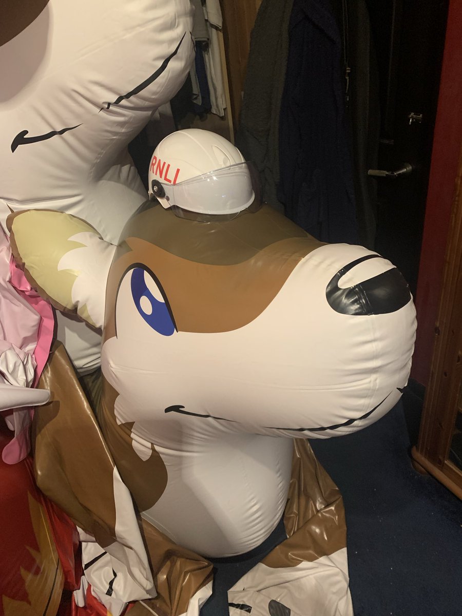 Needs a bigger helmet 🪖