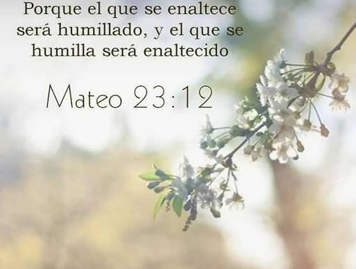 Se burlaron y humillaron a Jesús, no van otros a humillarte ? Sólo Dios da la fortaleza ante momentos difíciles. 👍💪💪🙏🙏🙏🙏