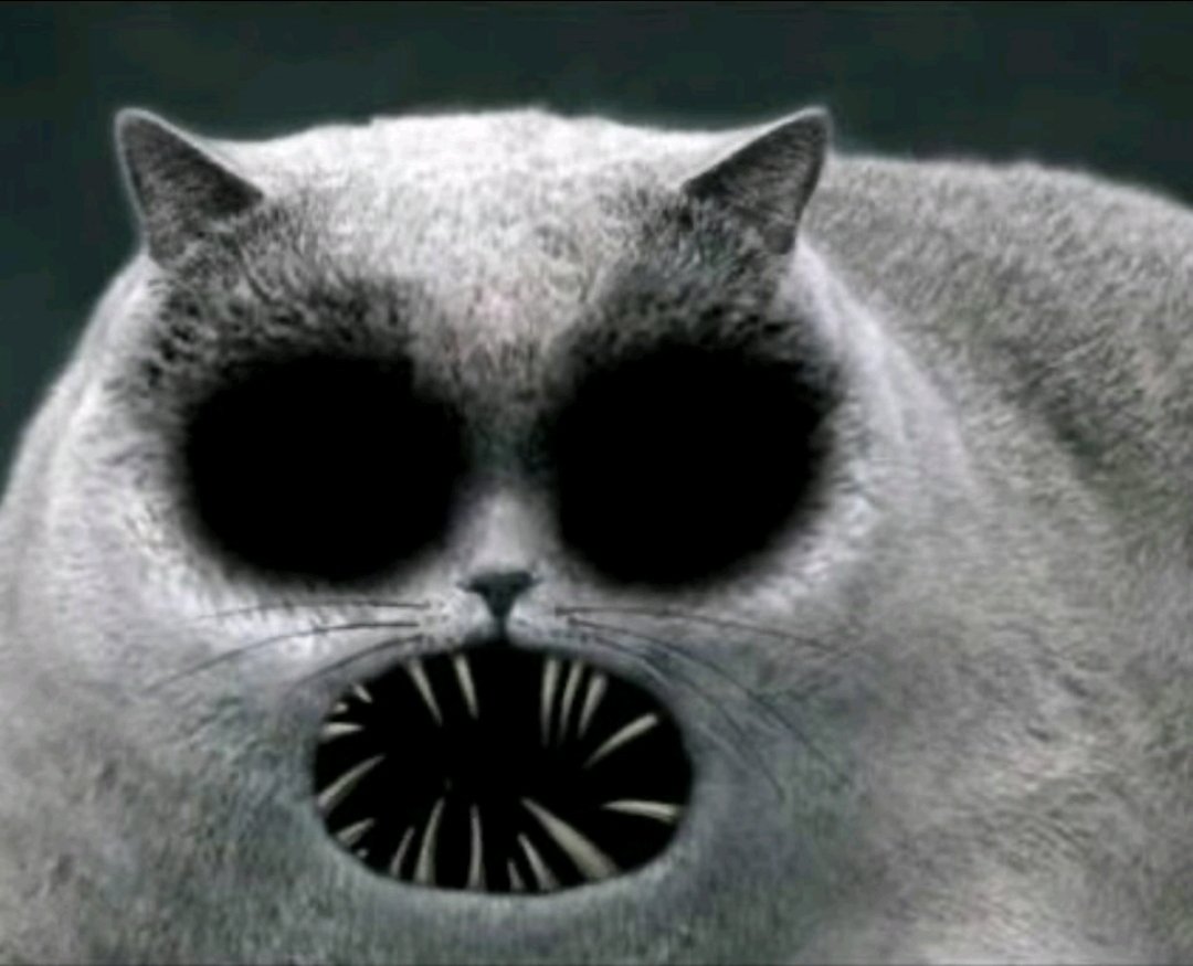 JayvisAwe (@jayvisawee) on Twitter photo 