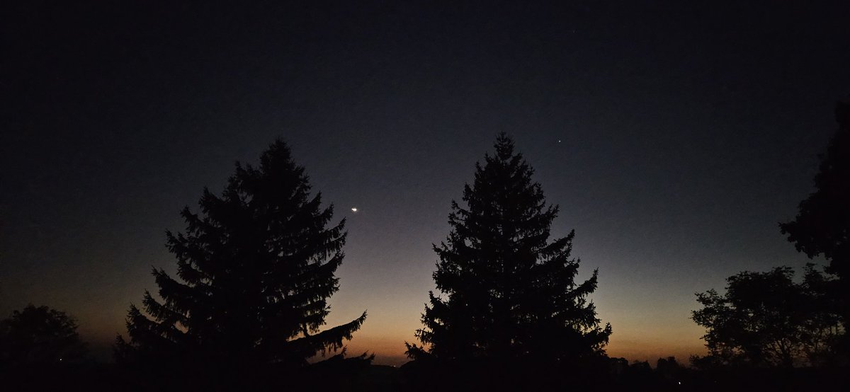 Kelly Hutchinson 🇨🇦 tweet media