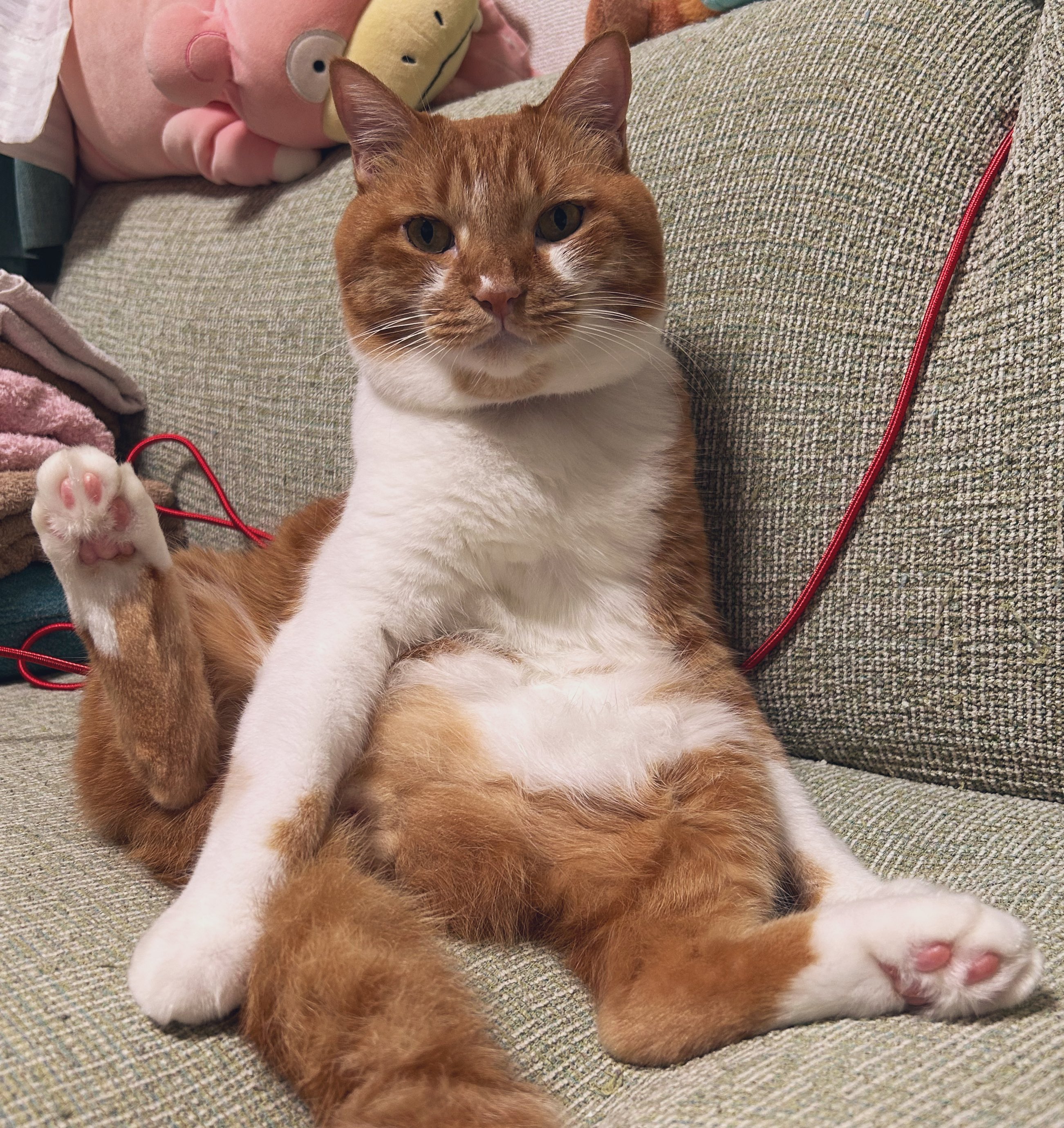 ☆☆ふりむき美人猫　優雅なひとときバッグ☆☆ ♥底はコロンと丸底♥ ふりむき美人猫 優雅なひとときバッグ ♥底はコロンと