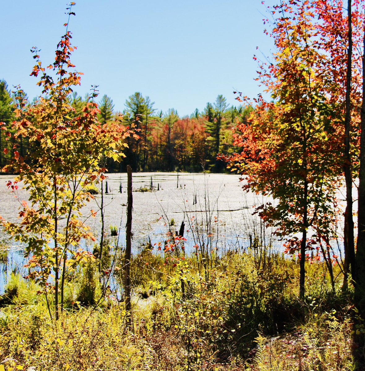 Big day 50kms on the trails and the backroads, Tall Pines of  @AddingtonHighlands . Gracious hosts with a plugged in backdrop. Cudos to our team, sponsors  and the volunteers… what a day. Started out crisp but ended up 28C full sun,
and a lot of gravel dust.
We ride for others.