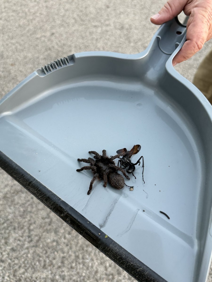 Alex Cohen tweet media