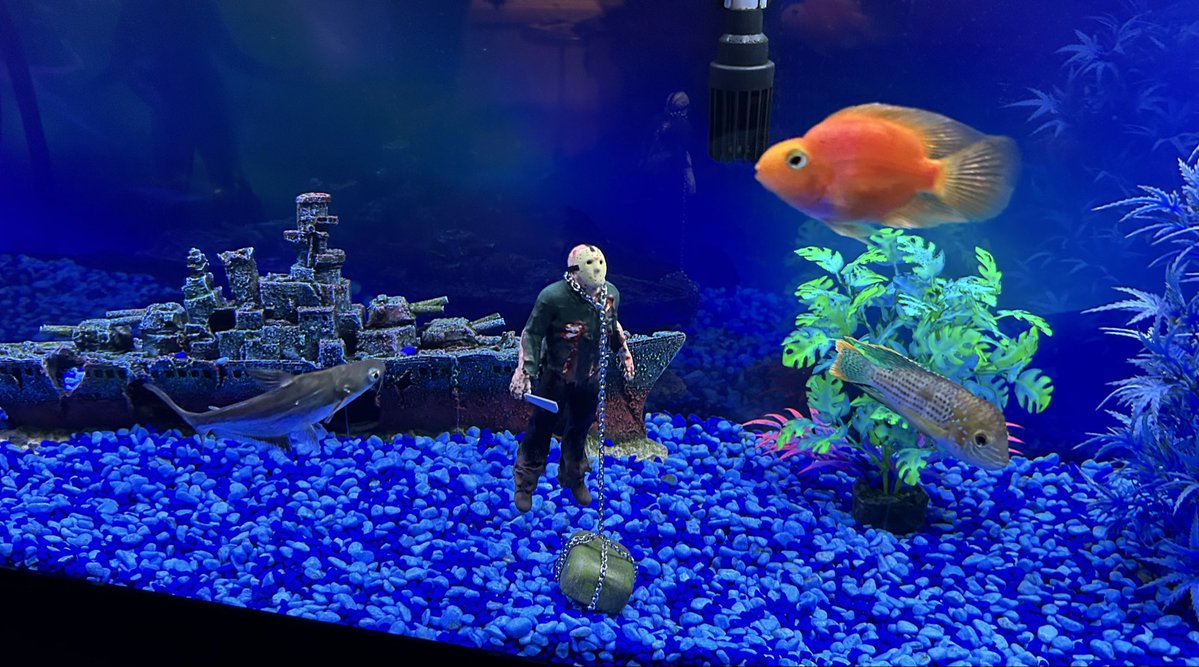 Jason Lives in my Fish Tank.