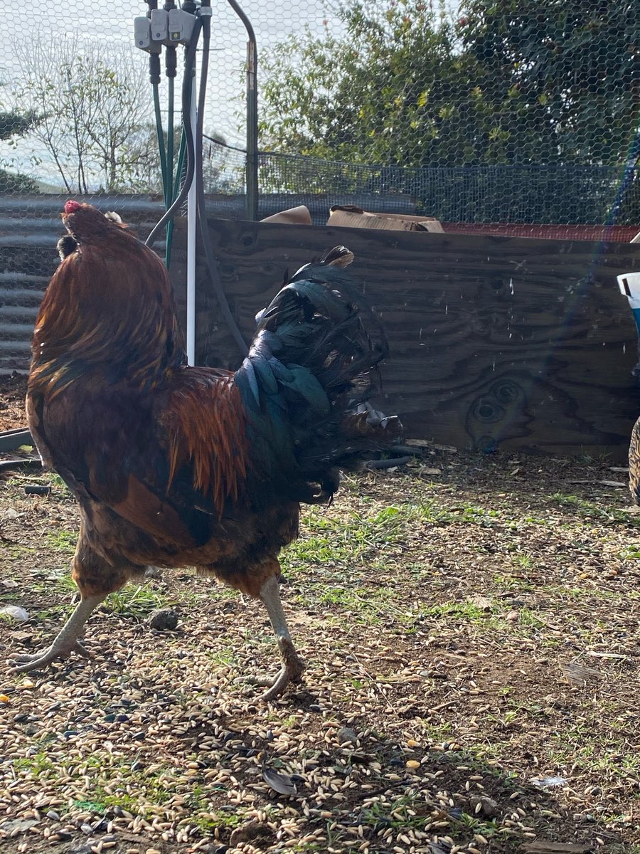 In the Bay Area's hustle, it's easy to feel overwhelmed by elitist agendas. But remember Psalm 82:3—'Defend the weak and the fatherless; uphold the cause of the poor and the oppressed.' Let's stand for real justice, not virtue-signaling.