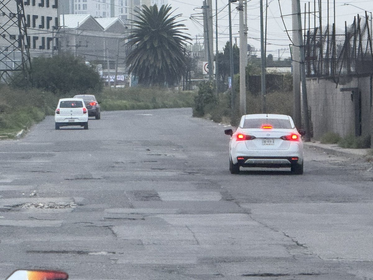 EL viejo Buho! tweet media