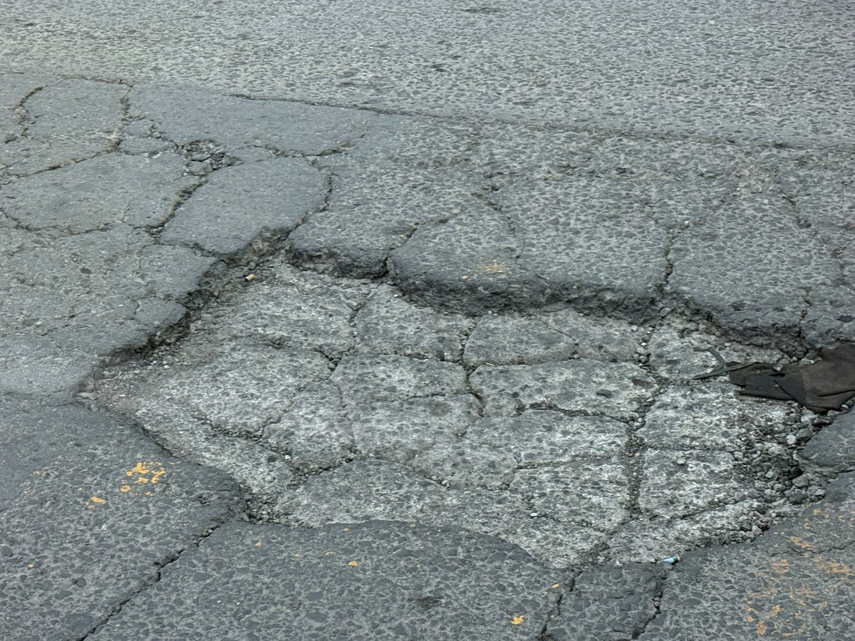 EL viejo Buho! tweet media