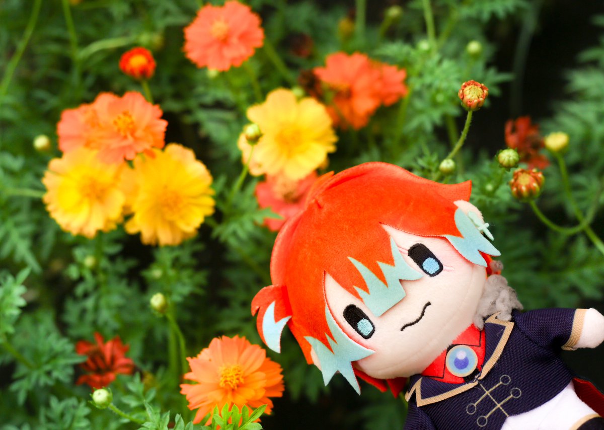 本日も過ごしやすいところが多いですね
一息ついて元気になりますように

こちらはオレンジのお花とテディちゃん