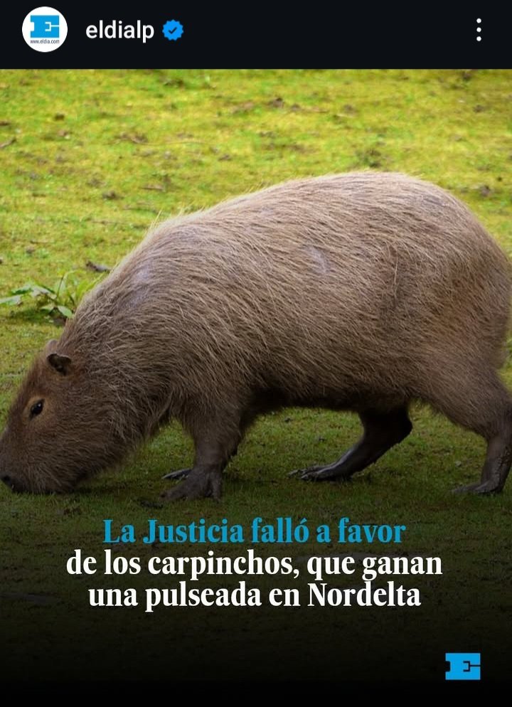 Jajajaja estos chicos de El Día no aprenden mas jajaja