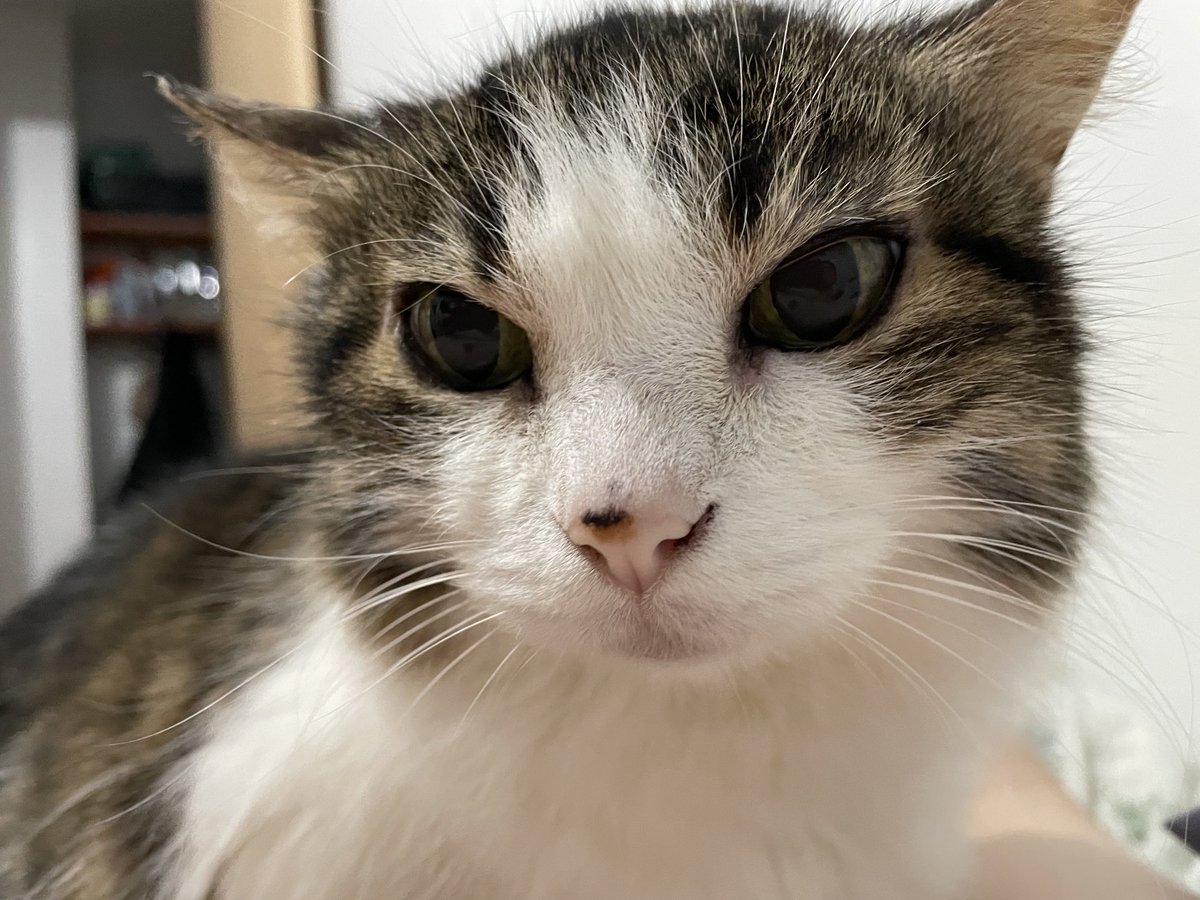 nibiszada's tweet image. Prometo que nunca vou esquecer esses olhos 🖤

Mesmo que tivesse todo o tempo do mundo, nada seria suficiente pra lidar com a sua ausência