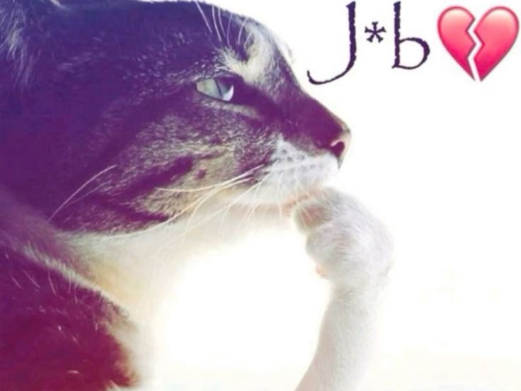 Ohhhh yarın işten ayrılıyorum siktiğimin yerinden gına gelmişti (2 hafta anca oldu)