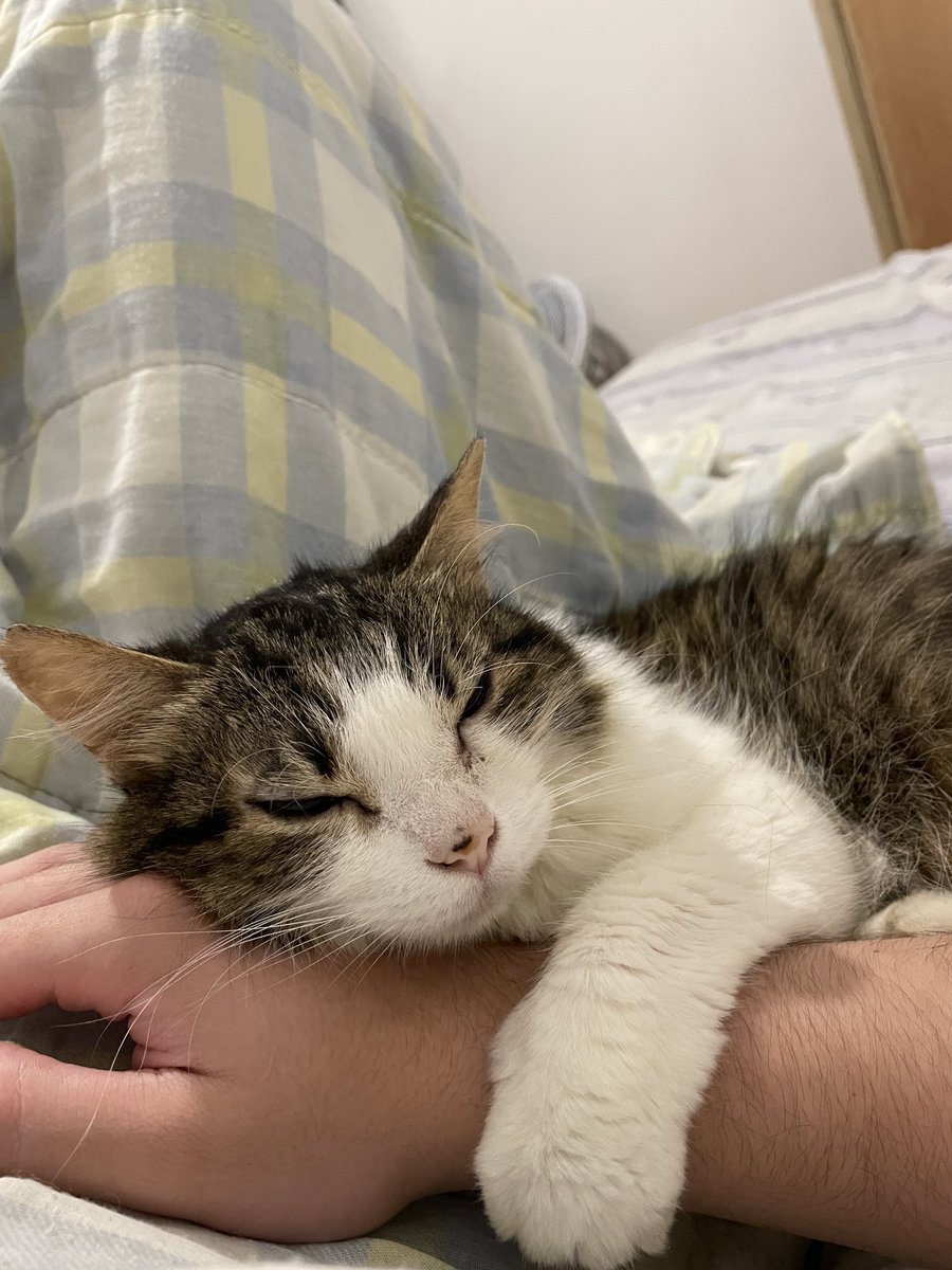 nibiszada's tweet image. Prometo que nunca vou esquecer esses olhos 🖤

Mesmo que tivesse todo o tempo do mundo, nada seria suficiente pra lidar com a sua ausência