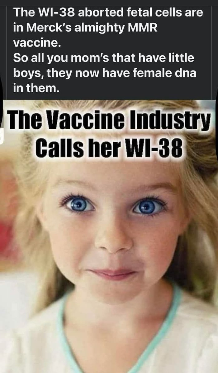 madman812822576's tweet image. #CampingWorld