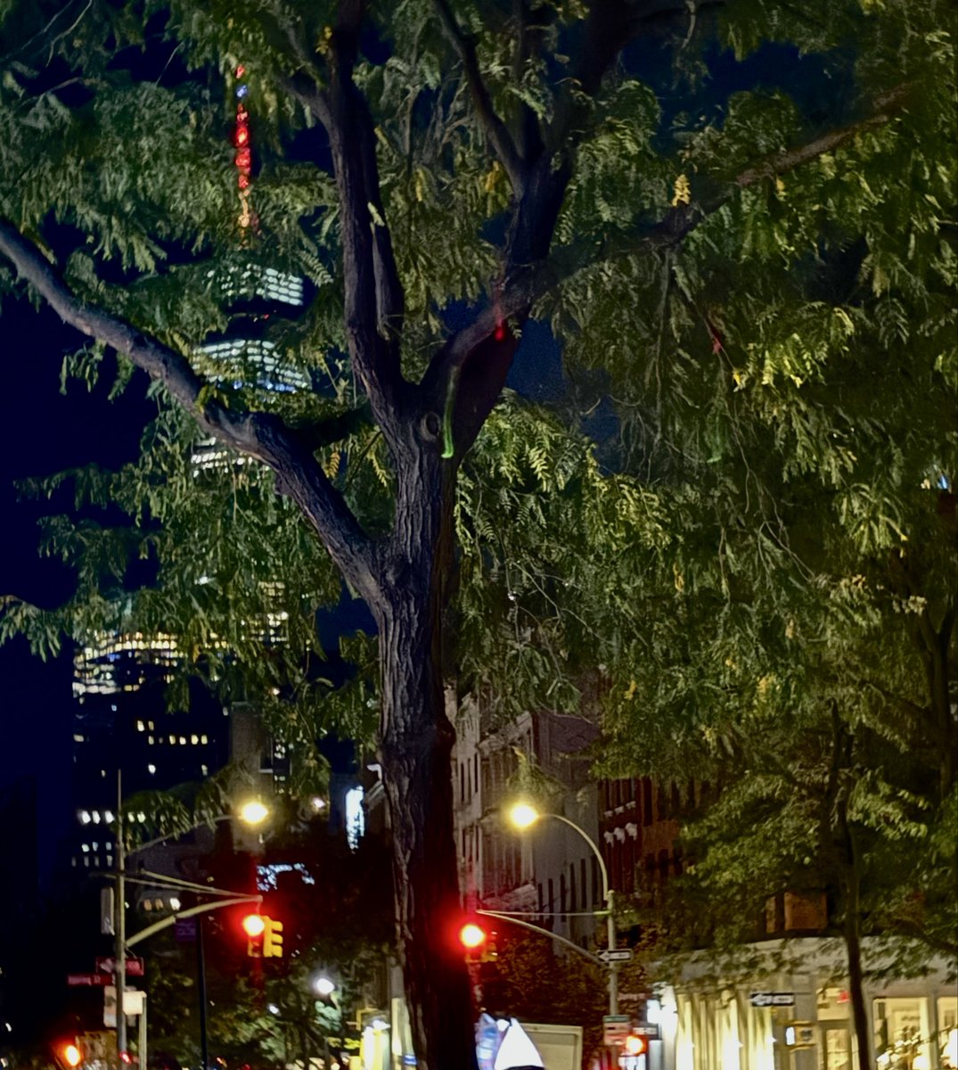 Ci salveranno le sere tiepide, la musica e le librerie aperte di notte. E la birra, certo