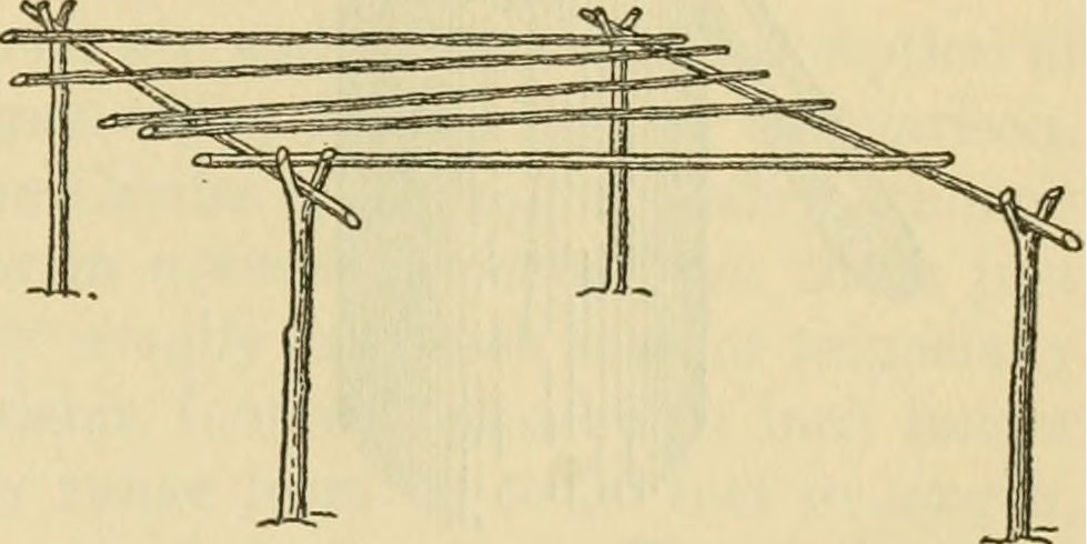 Why were 16-century Spanish explorers fascinated by barbacoas?

Read the surprising reason in this blog post inspired by the chapter "Hernando's Barbacoa" in my latest book From Barbycu to Barbecue.
#BBQ  #barbacoa #History 
ocbarbecue.blogspot.com/2025/10/the-su…