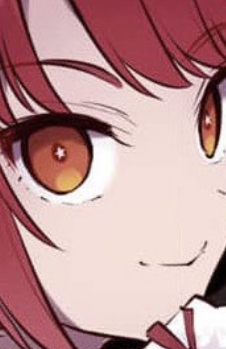 ルシエちゃん、瞳が「星」になってることに今気付いた……！
胸とお腹に風穴開けられて、大好きな星になれて良かったね⭐︎