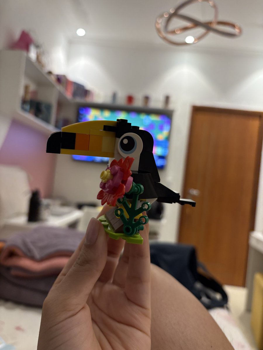 itacyaracast's tweet photo. Oi, hoje montei meu primeiro Lego!!
(A melhor foto é a terceira) https://t.co/6wYWW5VJoX