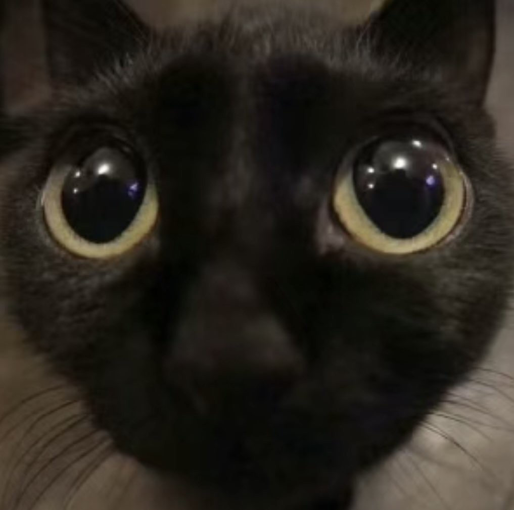 Jake Denehan tweet media