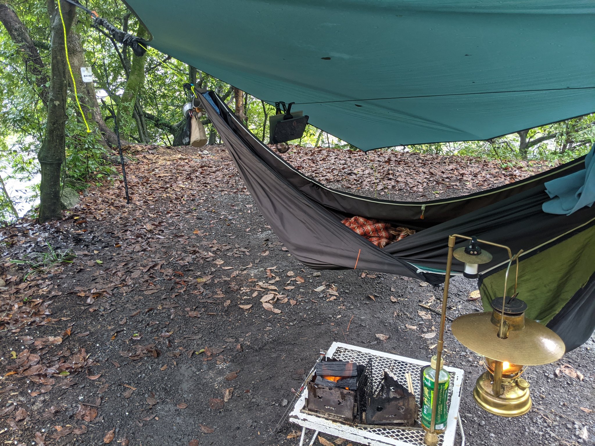 Χ④＠週末炭火焼肉 鹿屋基地提督 on X: 