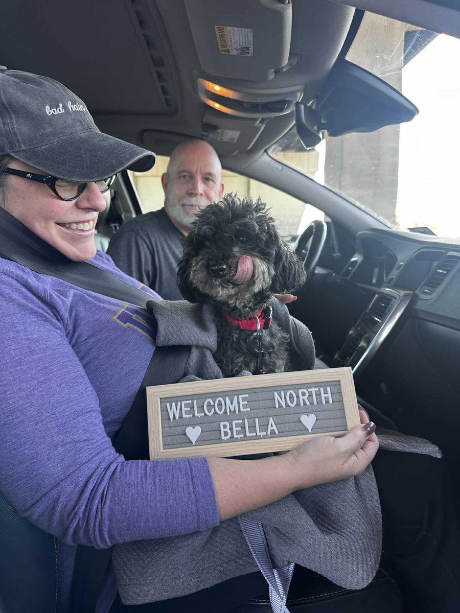 HoundsInPounds's tweet photo. ✨ Welcome, North Bella! ✨
She’s 8 pounds of pure love wrapped in the softest little soul. 💕
Learn more about Bella here ➡️ https://t.co/DTeoX22eOR
#neversaynever #welcomenorth #littledog #cutedogs #houndsinpounds #adoptme https://t.co/OBOdrztndA