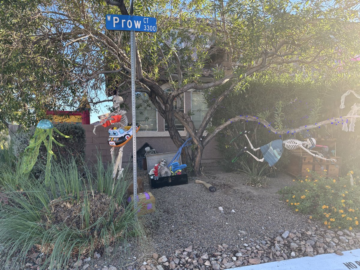 Dave Tuley tweet media