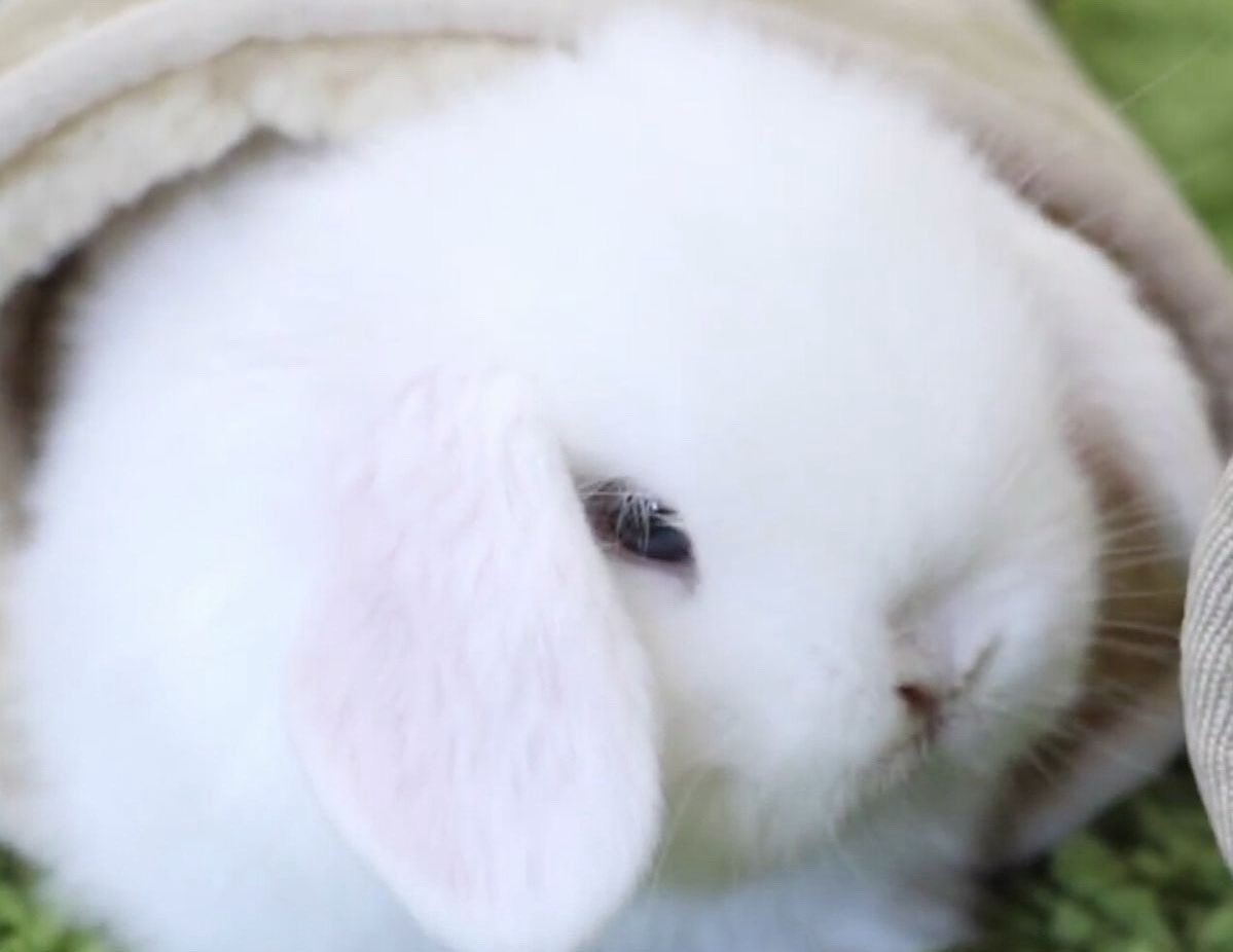 ୭̥⋆*｡𝑬𝒗𝒆𝒍𝒚𝒏𝒏 𝑩𝒓𝒐𝒐𝒌𝒔୭̥⋆*｡ tweet media