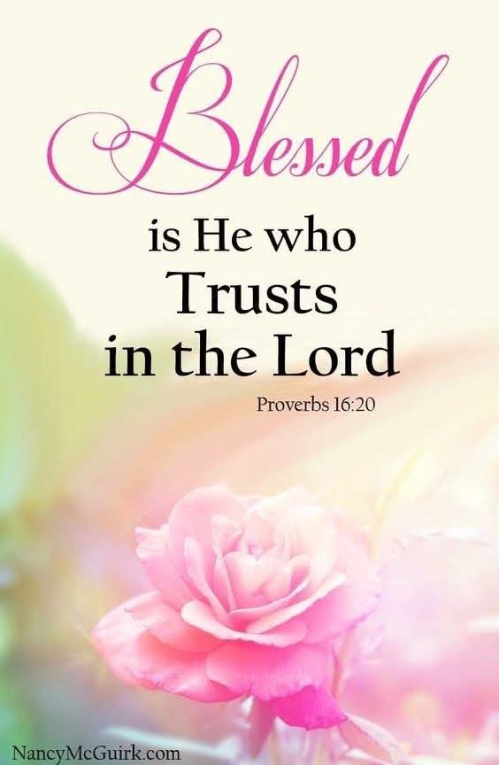 LtdSofos's tweet photo. Amen hallelujah Amen hallelujah https://t.co/Vmz06kBg31