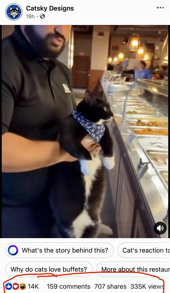 Catskycrypto's tweet photo. Catsky AI is bringing ad revenue back to the Cardano ecosystem

335,000 views on our Facebook page from one video in less than 24 hours, with 30 percent of the revenue flowing back into Catsky 🍀

LFG 🔥 

$Catsky https://t.co/4tgxsN3tzd