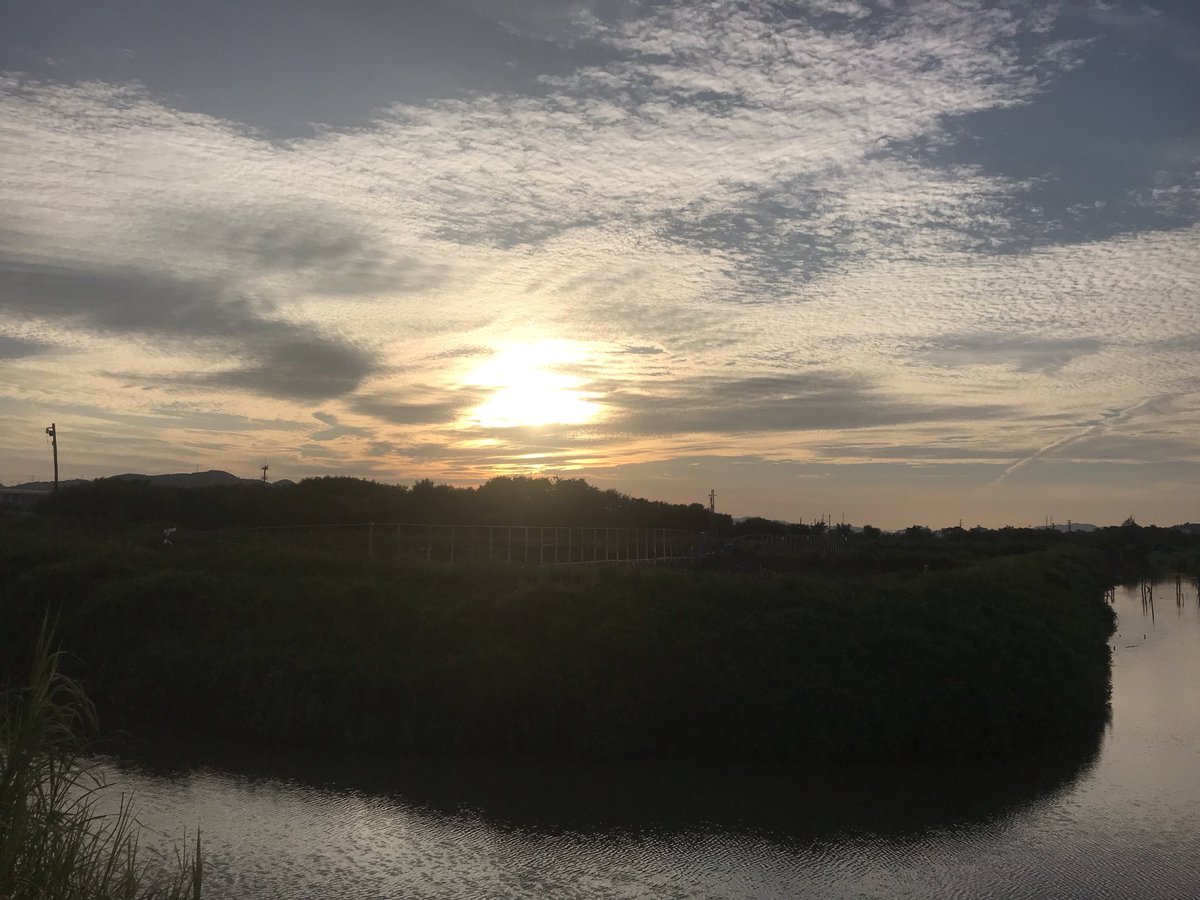 Linjun866's tweet image. 花有重开日，人无再少年，过好每一天才是最重要的🌇