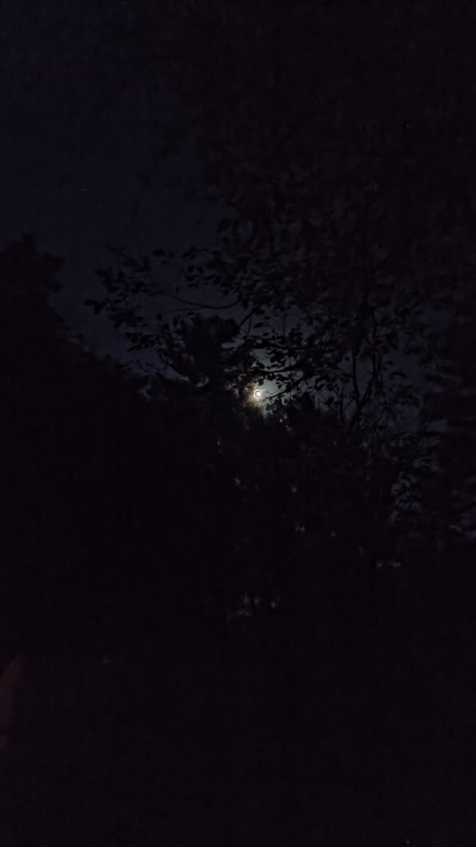 Well,what I try to call a sleep cycle is shot. Great evening all🌛