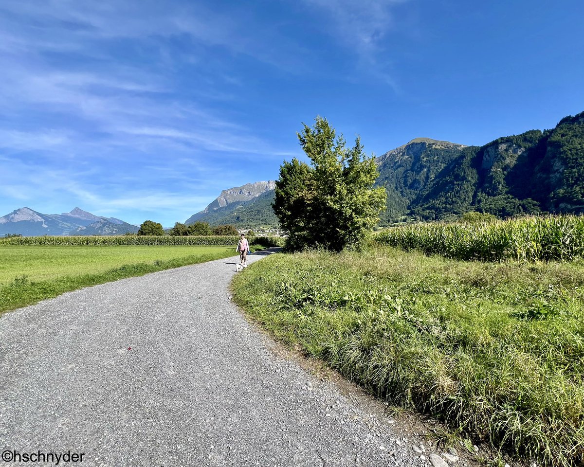 HrSchnyder's tweet image. Ein letzter Blick zurück nach Malans und es geht wieder Richtung Fluss Landquart
#malans #landquart #graubünden #wandern
#hiking