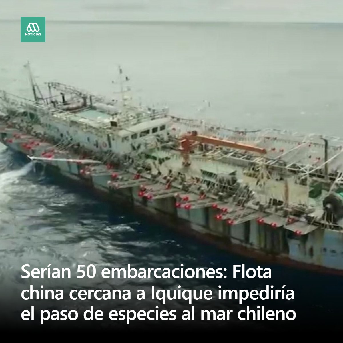 Una flota china, compuesta por cerca de 50 embarcaciones, está realizando labores cerca de la costa de Iquique. ¿El problema? Su presencia, en una zona estratégica, impide el paso de especies al mar chileno.
