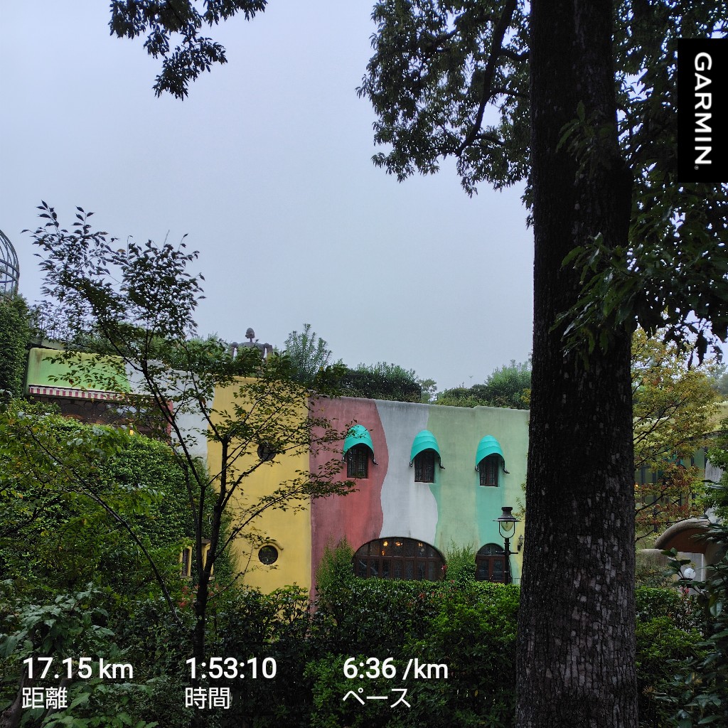朝は霧が立ち込める中のラン！
今日はジブリの森まで行ってきました〜。
井の頭公園森が豊かだったな👍