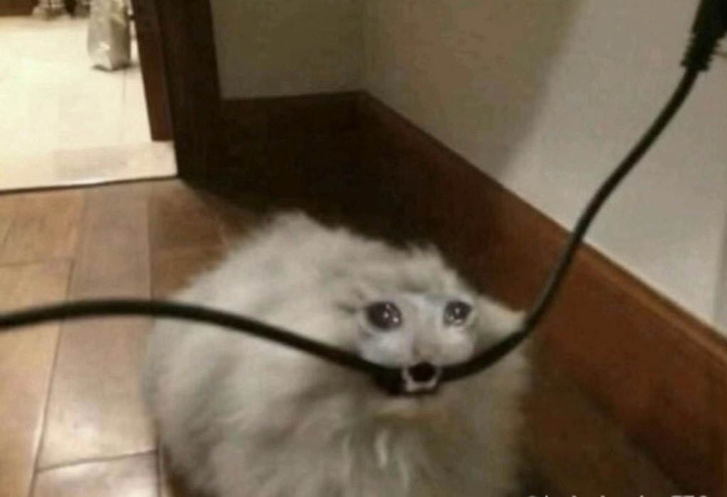 recovered for too long and forgot bulimia relapse comes with radioactive diarrhea please pray for me