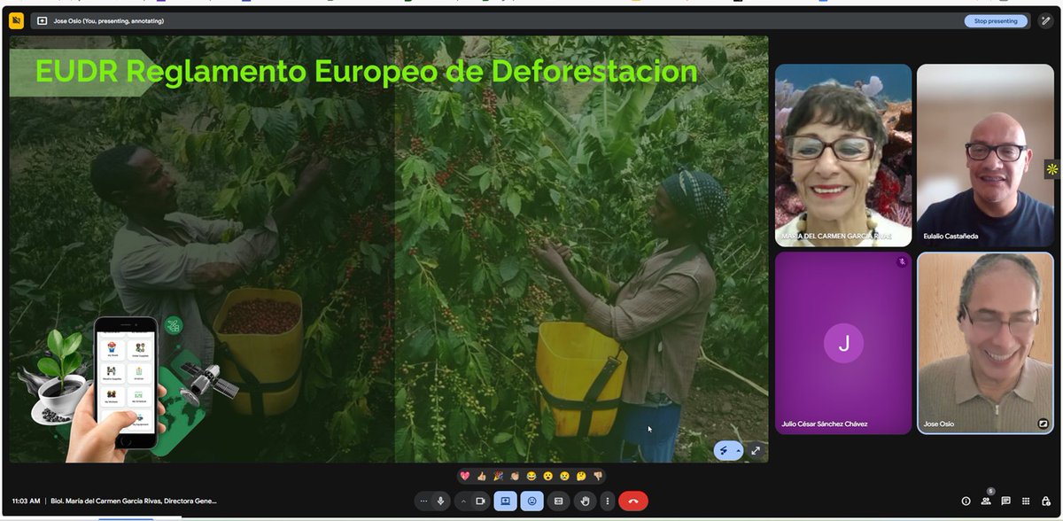 JoseOsio1168463's tweet image. DIMITRA DEFORESTATION presented to Biol. Maria del Carmen Garcia, Director of Conservation, CONANP, SEMARNAT and team. Dialogue on guiding coffee/cocoa growers to comply with EUDR. #DimitraTech #DMTRTeam #Sostenibilidad #DimitraCarbon #CréditosDeCarbono #conanp #biosferadealica