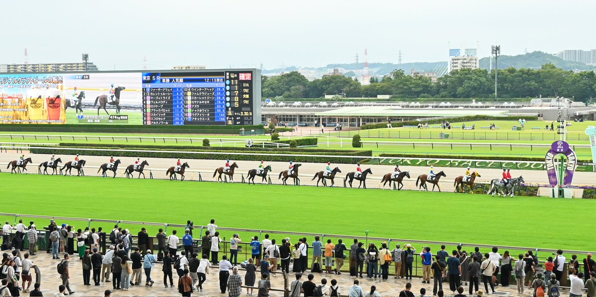 新馬戦入場できれいに並んでるの好き
🦄 🐴 🐴 🐴 🐴 🐴