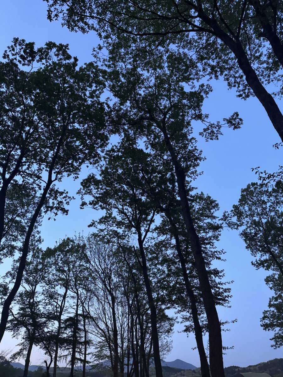 swallow_diary's tweet photo. そういえば、去年行った猪苗代湖を思い出した
#マイクロスパイアンサン��ル https://t.co/rALoyVYfB6