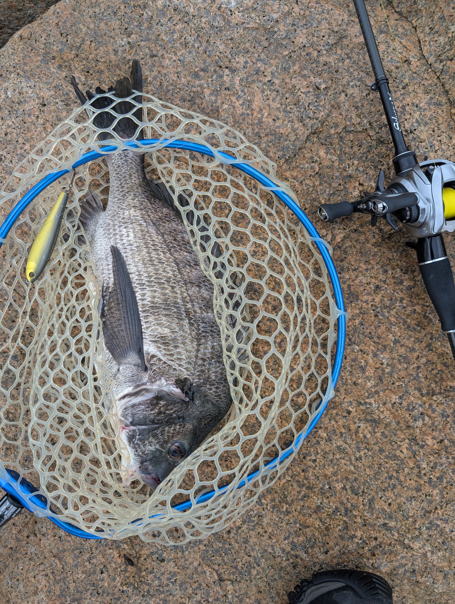 GONZO＠（hayaken) (@GONZOUDAIWA) / X