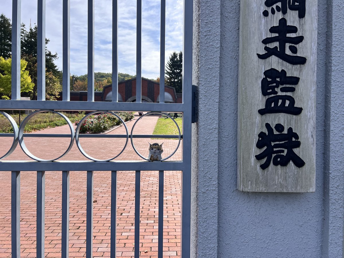 さく (@saku_gkm) on Twitter photo 